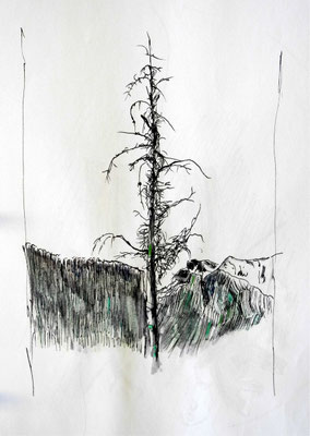 Baum 3