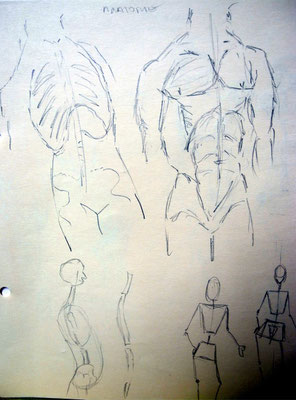 Anatomie