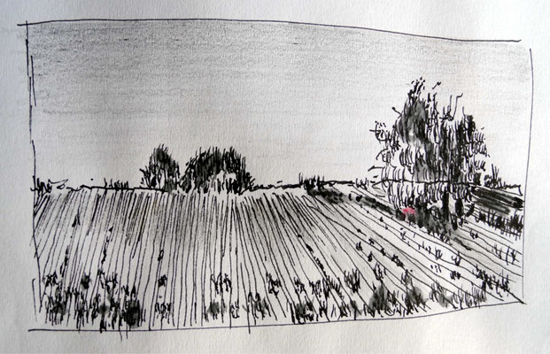 Landschaft 2