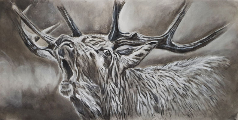 2021/1, Hirsch, Brunft, Acryl ,Leinwand, 47x96 cm 