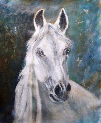 2020/2, Lipizzaner, Acryl, Leinwand, 50x60 cm