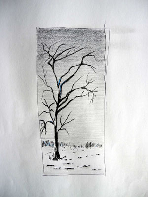 Baum 1
