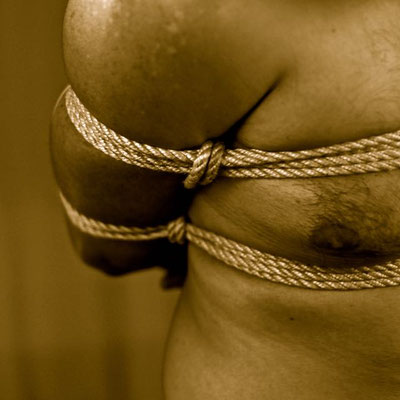 Shibari TK