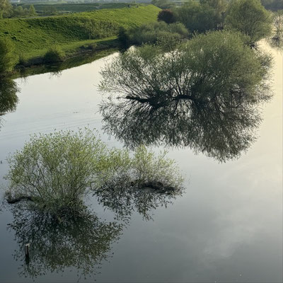 © Hans-Georg Vogelsang:Baumspiegelung in der Lippe
