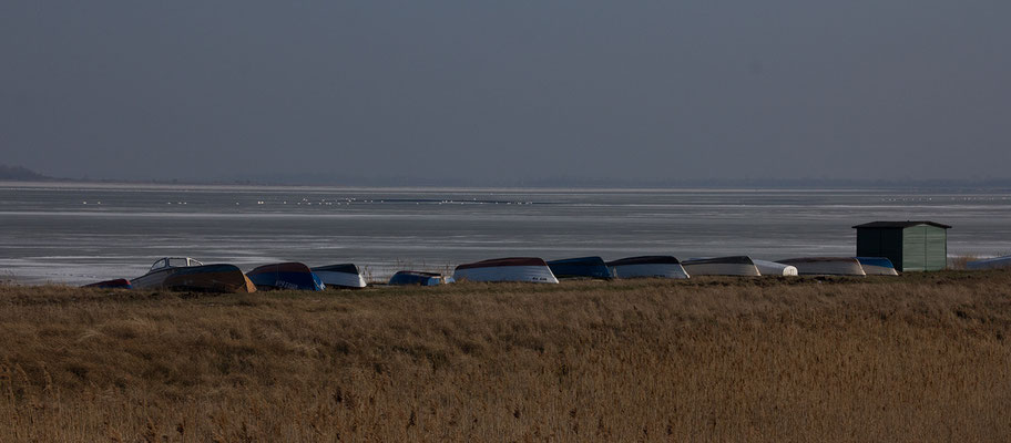 2014/1 © Peter Heck: Winter auf Hiddensee