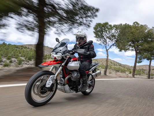 Moto Guzzi V85 TT - Promo - Ansicht fahrend auf Landstraße mit Baumallee