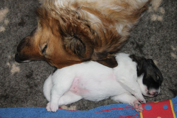 Mama Adina hatte alles im Griff und hat die C-chen ihre Erfahrungen machen lassen.