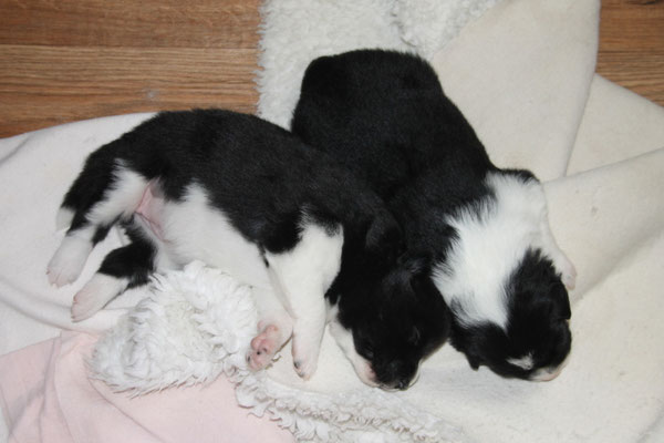 Die zwei Schwestern kuscheln.