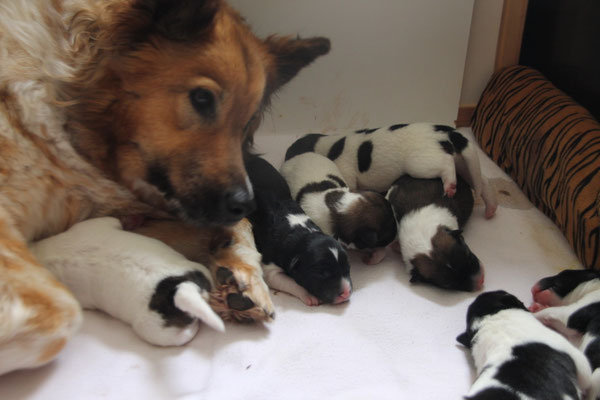 liebevolle Mama im Dienst