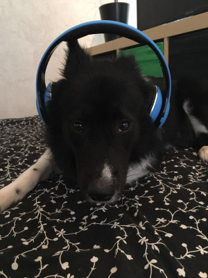 Delisha