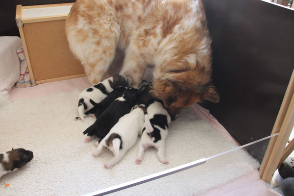 Mama leg dich hin, wir haben HUNGER!