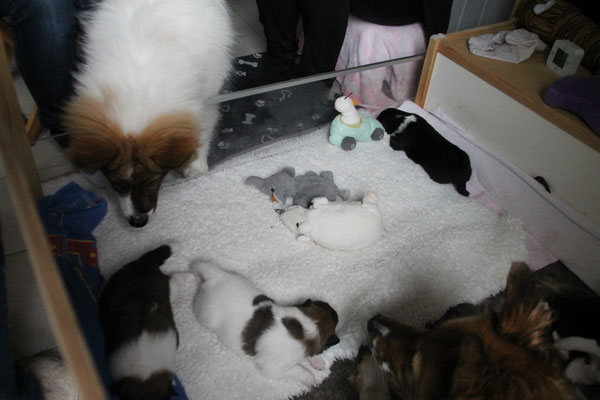 Cailin hat uns besucht