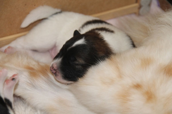mit Mama Kuscheln