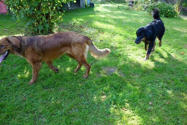 Toto & Rosine