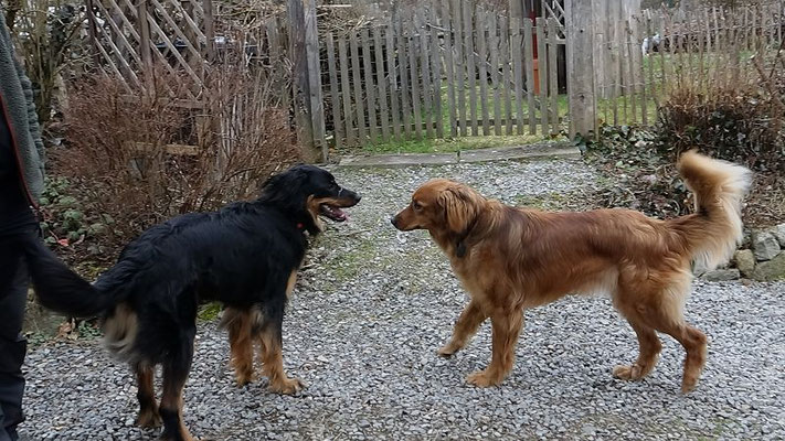 Elli und Rosine 2022