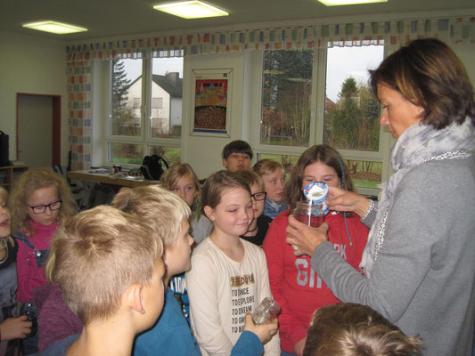 Arbeitsgruppe 1: Butter herstellen