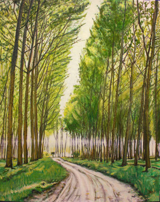 Bosque de álamos. Óleo sobre lienzo. 2022.