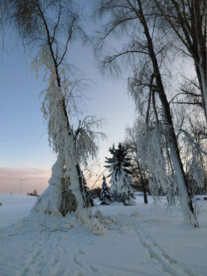Winterwunderland Estland.