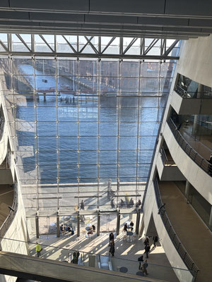 Kunst, Architektur und Kultur in Kopenhagen kennengelernt.