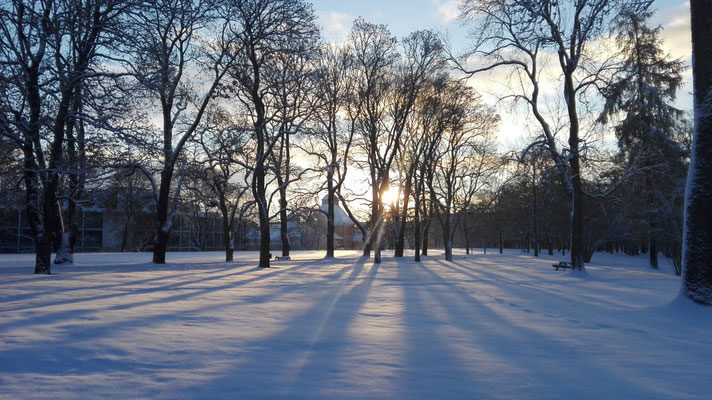 Winterlicher Sonnenaufgang in Uppsala