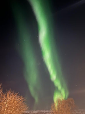 Nordlichter über Akureyri.