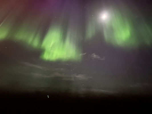 Die lang ersehnten Polarlichter. (Foto: Greta)