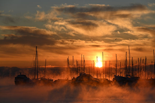 Hafen von Oslo bei -25 Grad.