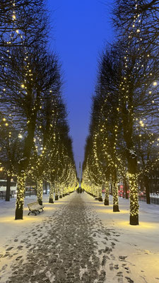 Riga im Lichtermeer