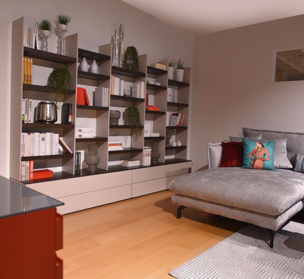 Graue Chaiselongue mit vielen Kissen und großes Bücherregal voller Bücher und Pflanzen.