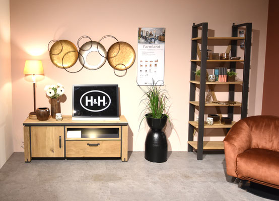  Ein Wohnzimmer mit niedrigem TV-Schrank, einem Regal und einer Wanddekoration.
