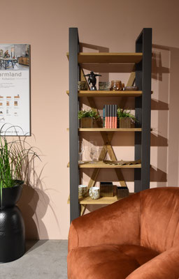 Ein Regal aus hellem Holz und Metallrahmen mit fünf Böden, Büchern, Pflanzen und Glas.