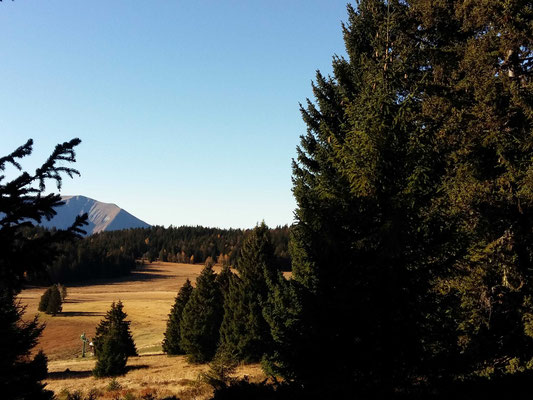 Plateau de l'Arselle