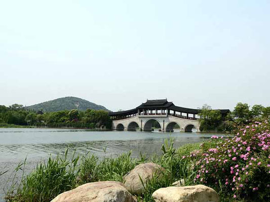 Changguangxi Wetland Park à proximité de l'hôtel : idéal pour se promener !