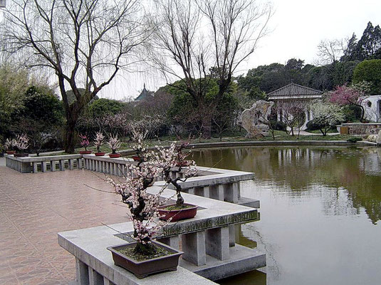 Le Jardin des pruniers : une terrasse, une pagode et un temple surplombe le jardin