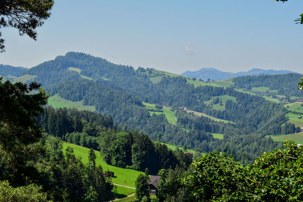 Panorama vom Baumwipfelpfad Nerckertal, in Mogelsberg