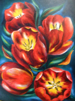 Tulpen 33x41