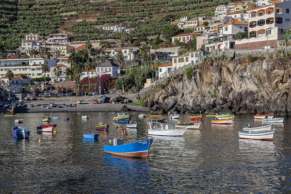 Câmara de Lobos, bunte Fischerboote im Hafen, altes Fischerdorf, Südküste, Madeira, Portugal, Europa