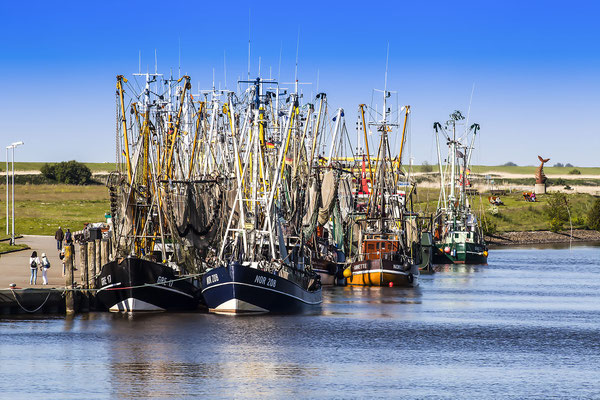 Krabbenkutter im Hafen von Greetsiel, Leybucht, Krummhörn, Ostfriesland, Niedersachsen, Deutschland, Europa