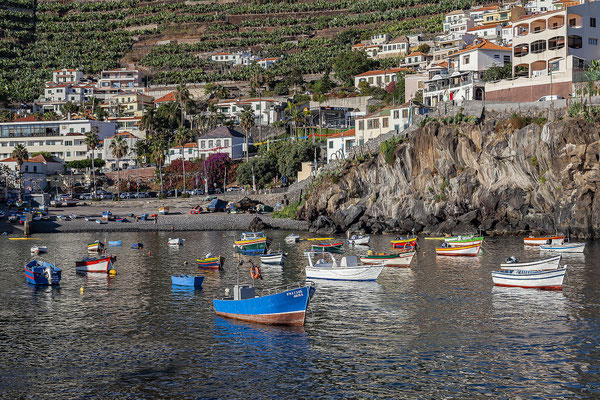 Câmara de Lobos ,colorful fishing boats in the harbour,  old fishing village,  south coast,  Madeira,  Portugal,  Europe