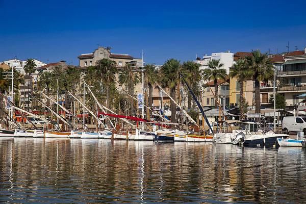 Segel- und Fischerboote im Hafen von Bandol, Alpes-Maritimes, Cote d'Azur, Südfrankreich, Frankreich, Europa| Segel- und Fischerboote im Hafen von Bandol, Alpes-Maritimes, Côte d'Azur, Südfrankreich, Frankreich, Europa