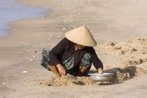Vietnamesische Frau auf der Suche nach Krabben im Sand ,Strand von Mui Ne, Vietnam, Asien 