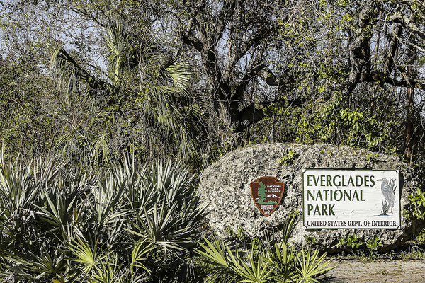 Nationalpark Everglades,Florida,USA