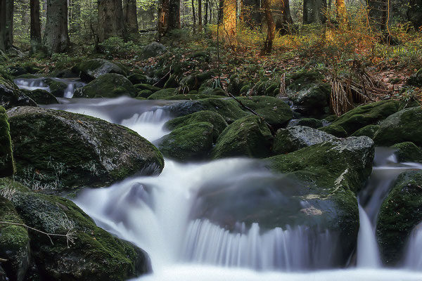 Bachverlauf Kleine Ohe, Bayerischer Wald, Bayern, Deutschland,Europa  (Motiv wurde mit Diafilm aufgenommen)