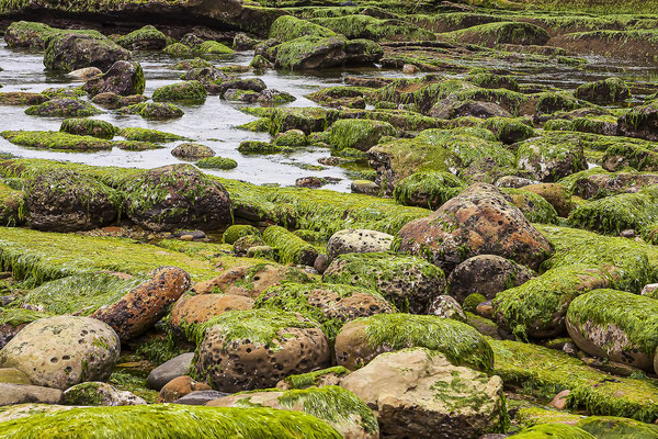 Rock formations in Yeliou National Park in Taiwan, China, Asia