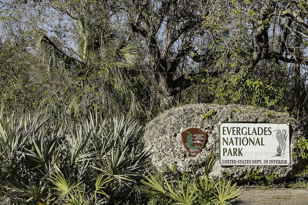 Everglades National Park, Florida, USA