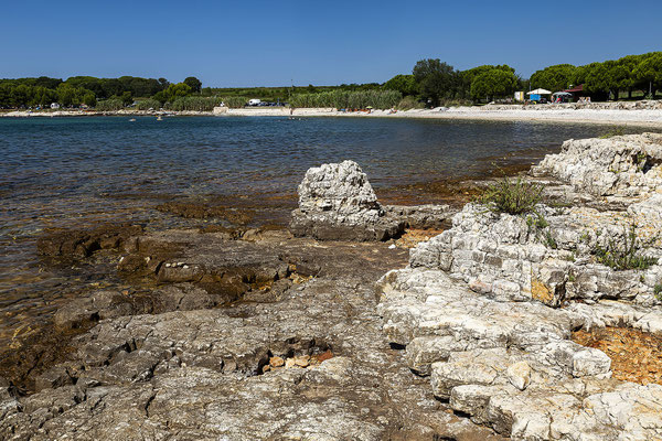 Strand an der Steinküste von Beach Kastanija, Novigrad, Istrien, Kroatien, Europa