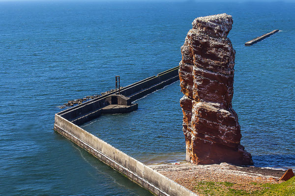 Vogelkolonie mit Basstölpeln (Morus bassanus), Lange Anna, Helgoland, Schleswig-Holstein, Deutschland, Europa