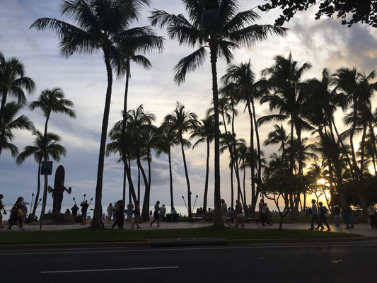 waikiki-beach