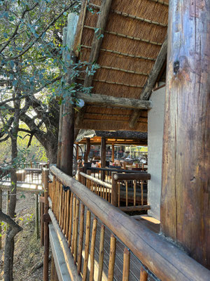 umkumbe-bush-lodge-luxury-tented-camp