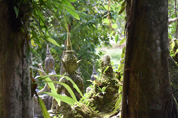 secret-buddha-garden